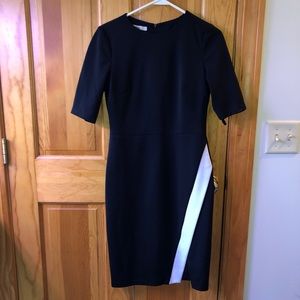 Short Sleeve Black Scuba Dress with White Accent